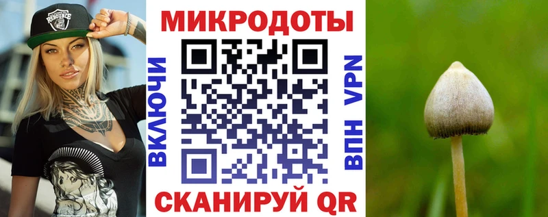 Псилоцибиновые грибы прущие грибы  Тайшет 